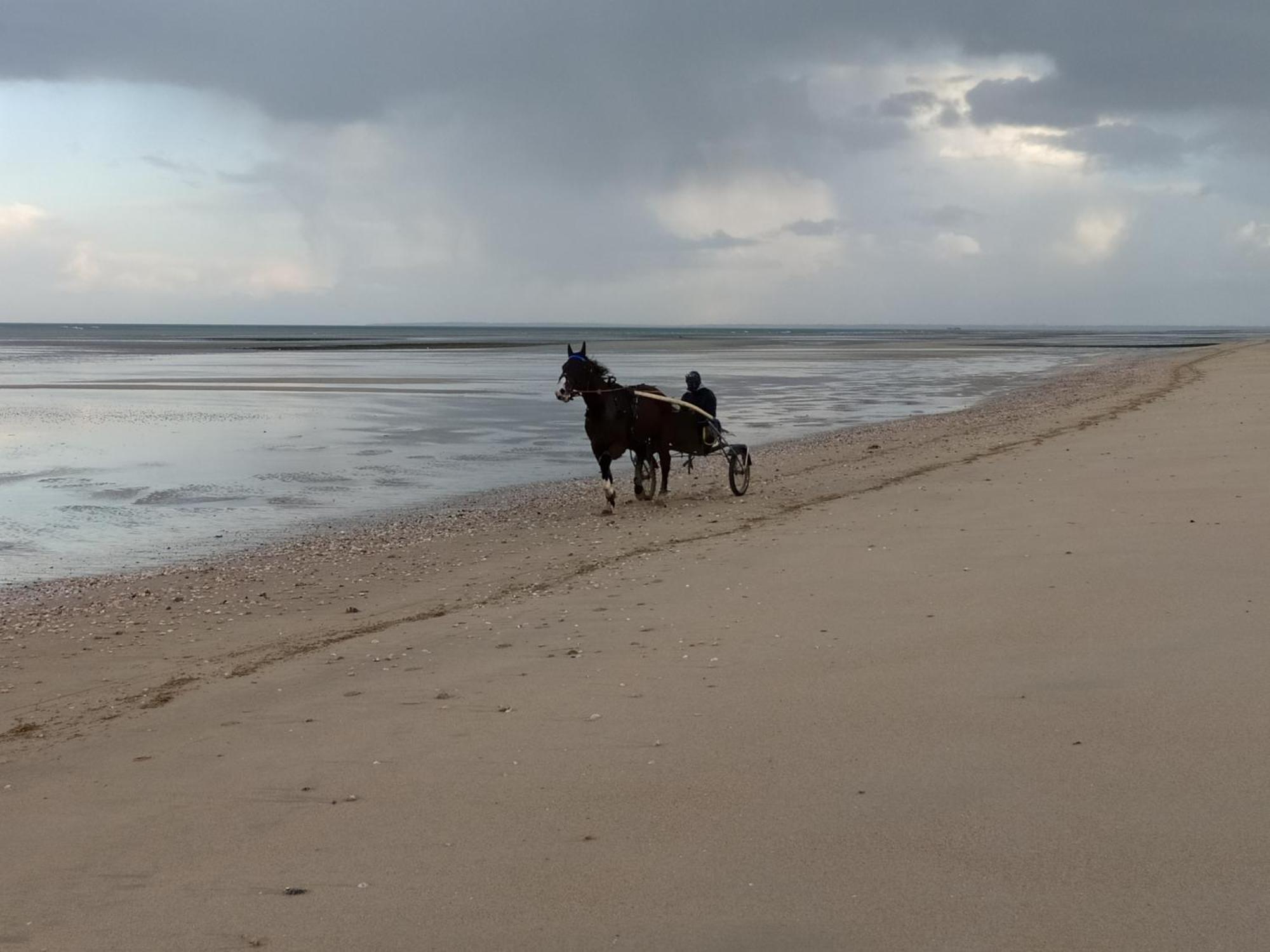 Gites En Normandie En Front De Mer A Asnelles , 3Km D'Arromanches, 10Km De Bayeux Esterno foto